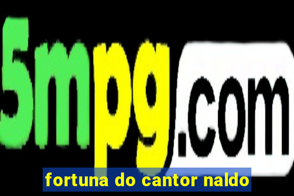 fortuna do cantor naldo